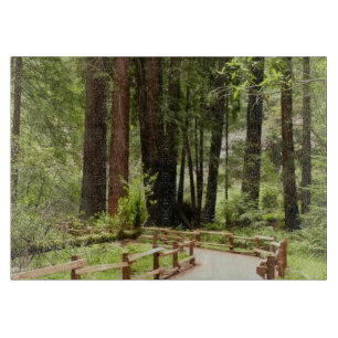 Muir Woods Path I Naturfotografie Schneidebrett