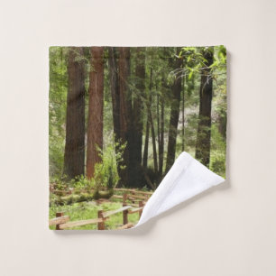 Muir Woods Path I Naturfotografie Waschlappen