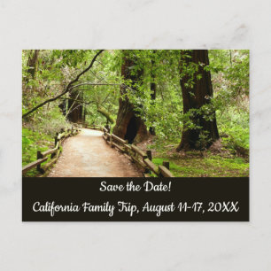 Muir Woods Path II Nature Save the Date Postkarte