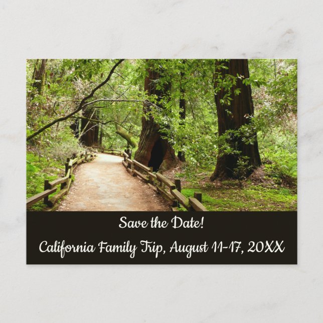 Muir Woods Path II Nature Save the Date Postkarte (Vorderseite)