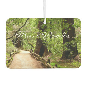 Muir Woods Path II Naturfotografie Autolufterfrischer