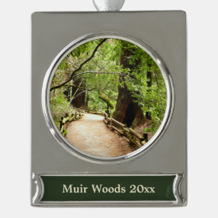 Muir Woods Path II Naturfotografie Banner-Ornament Silber