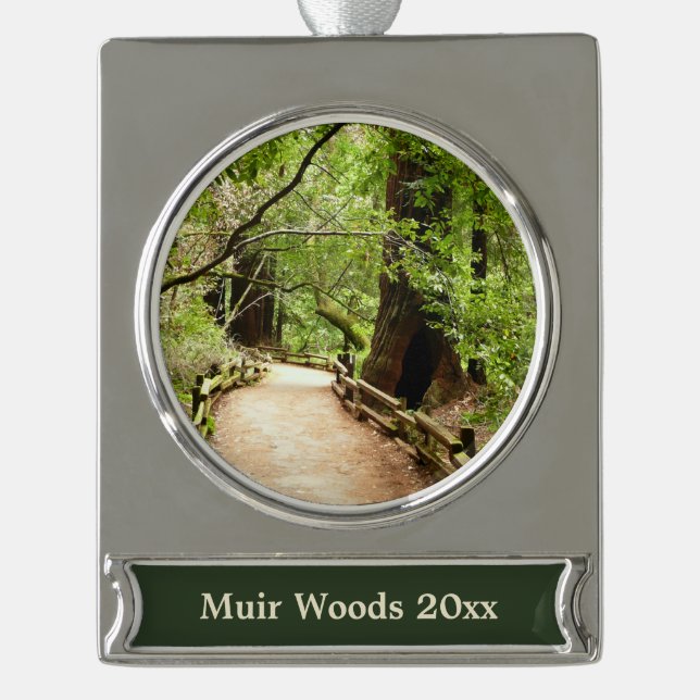 Muir Woods Path II Naturfotografie Banner-Ornament Silber (Vorderseite)