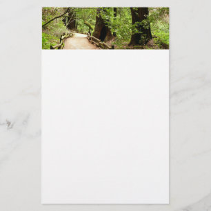 Muir Woods Path II Naturfotografie Briefpapier