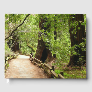 Muir Woods Path II Naturfotografie Gästebuch