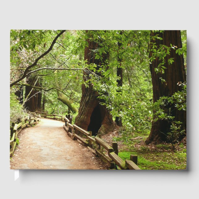 Muir Woods Path II Naturfotografie Gästebuch (Vorderseite)