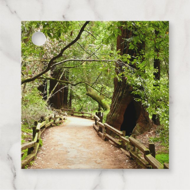 Muir Woods Path II Naturfotografie Geschenkanhänger (Vorderseite)