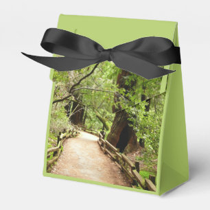 Muir Woods Path II Naturfotografie Geschenkschachtel