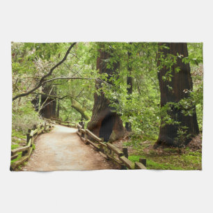 Muir Woods Path II Naturfotografie Handtuch
