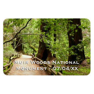 Muir Woods Path II Naturfotografie Magnet