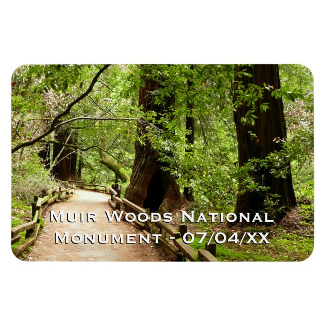 Muir Woods Path II Naturfotografie Magnet (Horizontal)