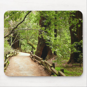 Muir Woods Path II Naturfotografie Mousepad