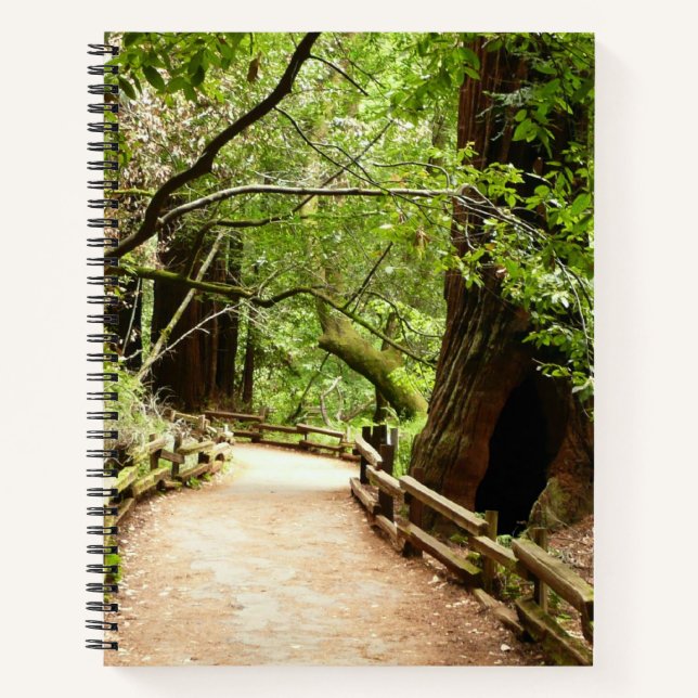 Muir Woods Path II Naturfotografie Notizbuch (Vorderseite)