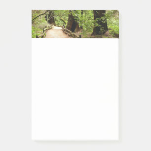 Muir Woods Path II Naturfotografie Post-it Klebezettel