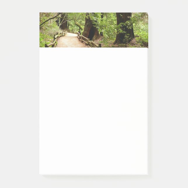 Muir Woods Path II Naturfotografie Post-it Klebezettel (Vorderseite)