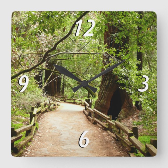 Muir Woods Path II Naturfotografie Quadratische Wanduhr (Vorderseite)