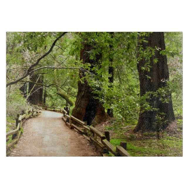 Muir Woods Path II Naturfotografie Schneidebrett (Vorderseite)