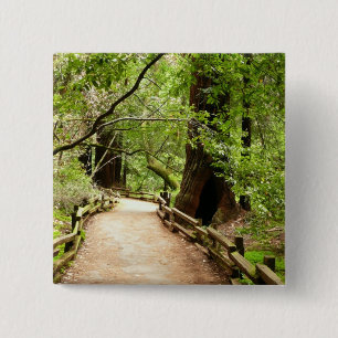 Muir Woods Pfad II Naturfotografie Button