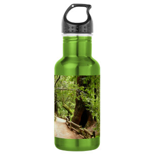 Muir Woods Pfad II Naturfotografie Edelstahlflasche