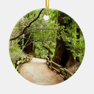 Muir Woods Pfad II Naturfotografie Keramikornament