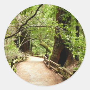 Muir Woods Pfad II Naturfotografie Runder Aufkleber