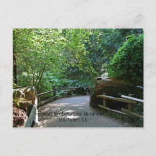 Muir Woods Post Card Postkarte