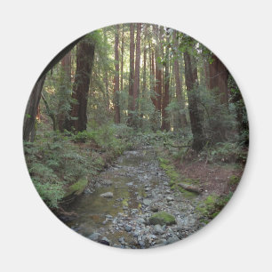 Muir Woods Stream Forest Landschaft Magnet