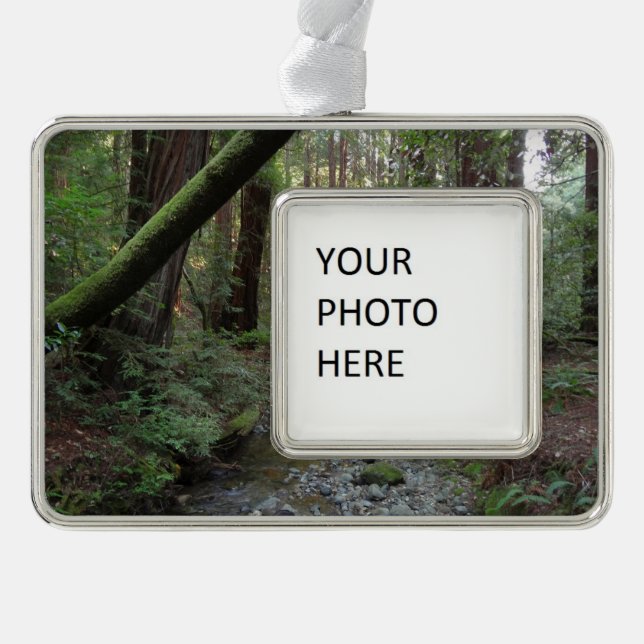 Muir Woods Stream Forest Landschaft Rahmen-Ornament Silber (Vorderseite)