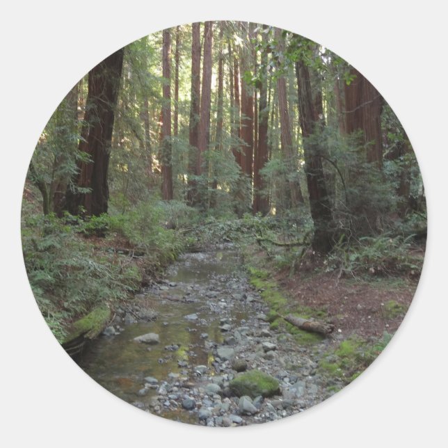 Muir Woods Stream Forest Landschaft Runder Aufkleber (Vorderseite)