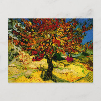 Mulberry Tree Van Gogh Fine Art Postkarte