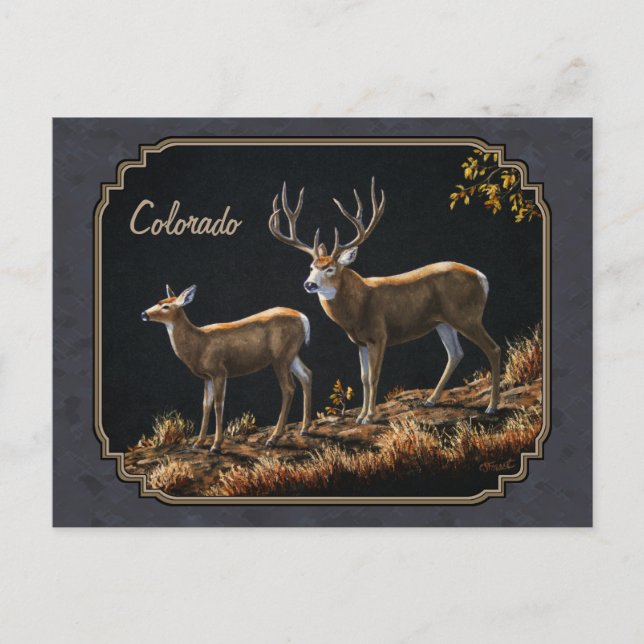 Mule Deer Buck and Doe Gray Custom Postkarte (Vorderseite)