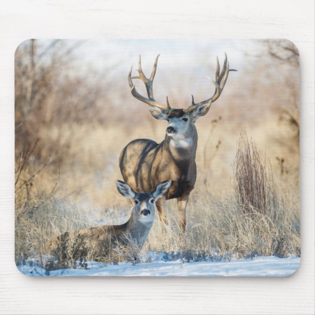 Mule Deer Buck and Doe Mousepad (Vorne)
