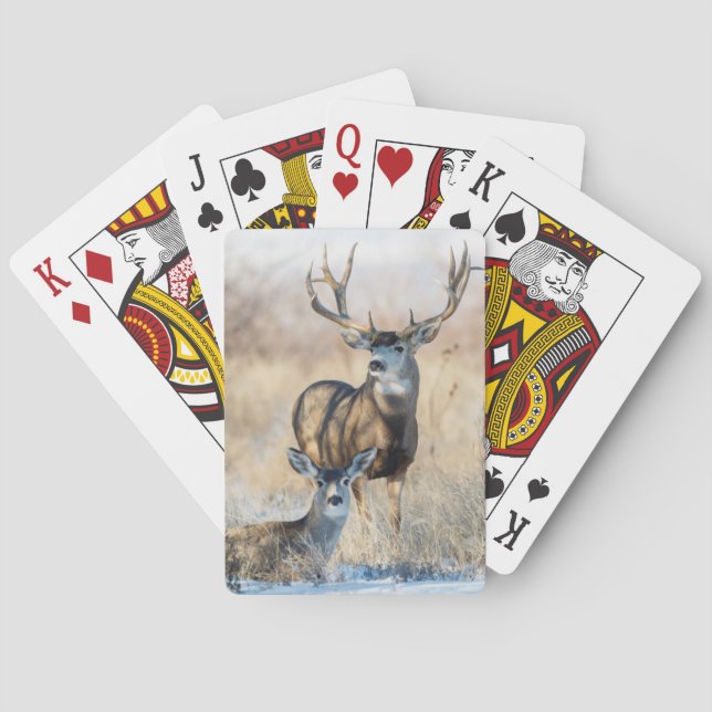 Mule Deer Buck and Doe Spielkarten (Rückseite)