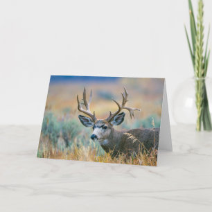 Mule Deer Buck Grand Teton National Park Wyoming Karte