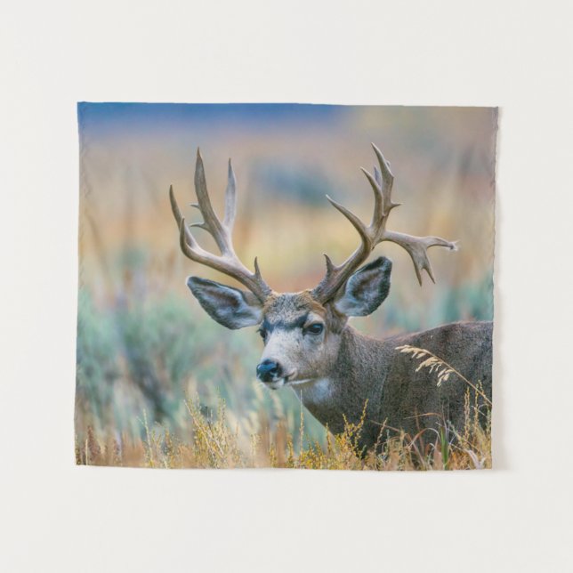 Mule Deer Buck | Grand Teton National Park Wyoming Wandteppich (Vorderseite (Horizontal))