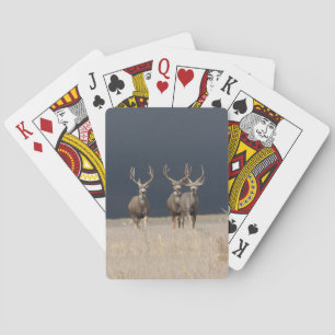 Mule Deer Bucks Bicycle Playing Cards Spielkarten