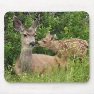 Mule Deer Doe with Fawn Mousepad