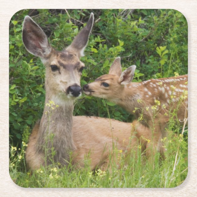 Mule Deer Doe with Fawn Rechteckiger Pappuntersetzer (Vorderseite)