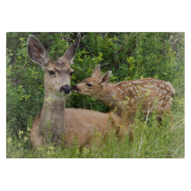 Mule Deer Doe with Fawn Schneidebrett (Vorderseite)