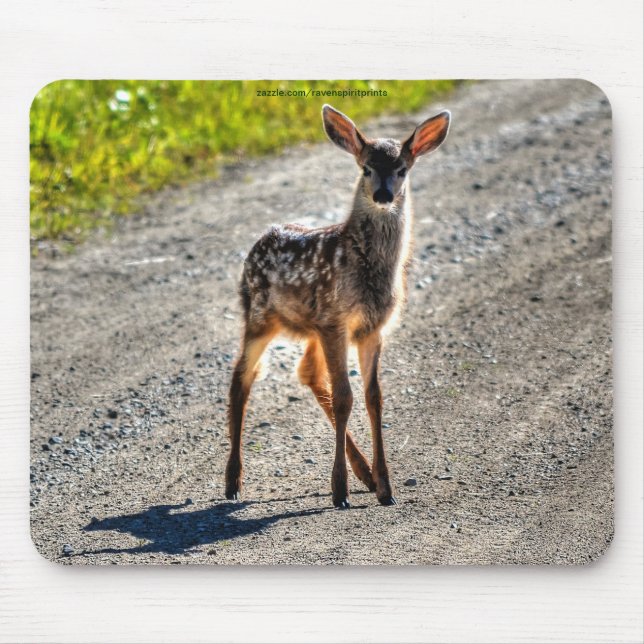 Mule Deer Fawn Baby Animal Wildlife Foto Mousepad (Vorne)