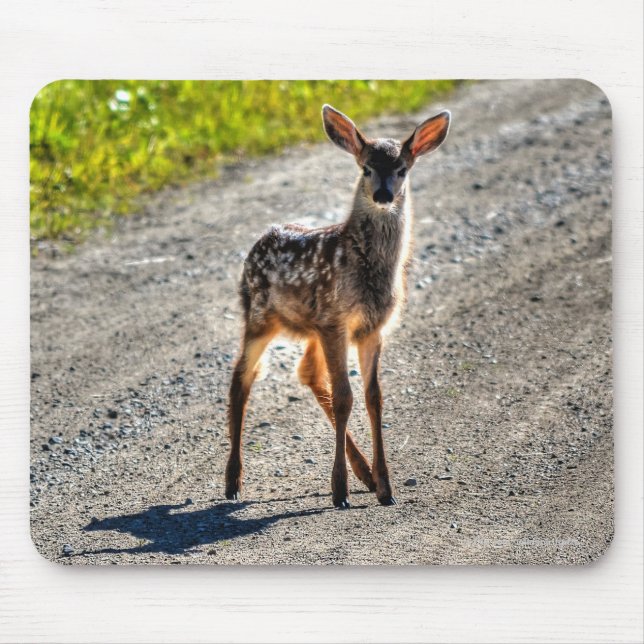 Mule Deer Fawn Baby Animal Wildlife Foto Mousepad (Vorne)