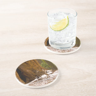 Mule Deer Getränkeuntersetzer