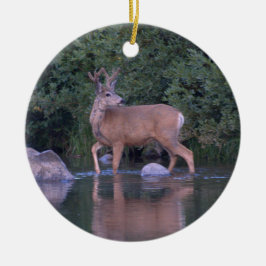 "Mule Deer Maaking a Early Morning River Crossing" Keramik Ornament