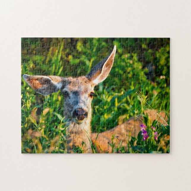 Mule Deer Montana. Puzzle (Horizontal)