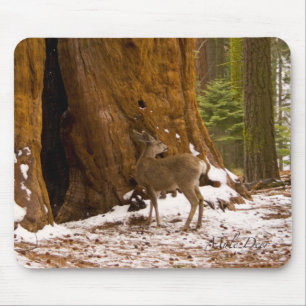 Mule Deer Mousepad
