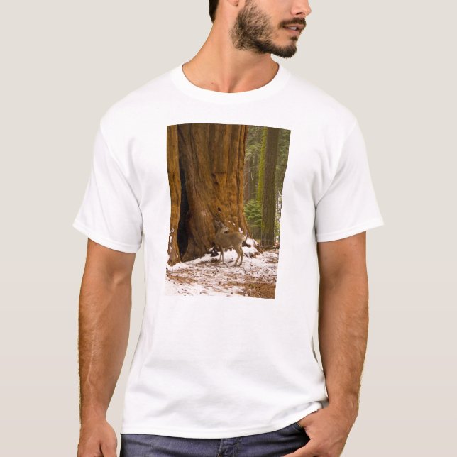 Mule Deer T-Shirt (Vorderseite)
