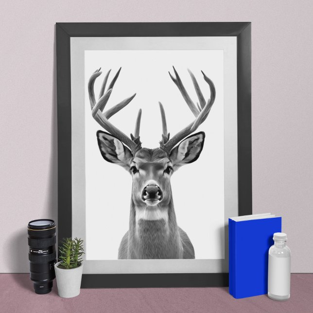 Mule Deer Wüste Animal Portrait Poster (Von Creator hochgeladen)