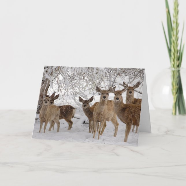 Mule Deer Wyoming Karte (Vorderseite)