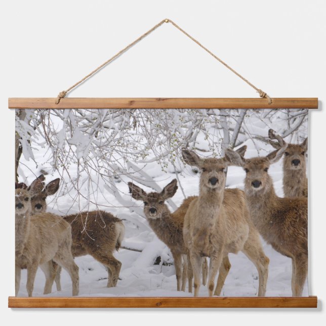 Mule Deer Wyoming Wandteppich Mit Holzrahmen (Vorne)