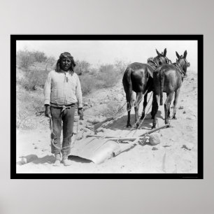 Mule-gezeichnet Plow und Indian 1920 Poster
